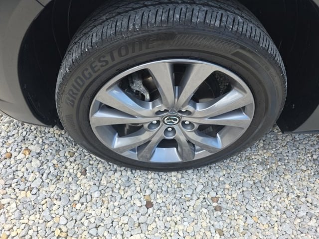 Photo 41
